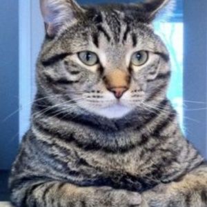 Meet your Posher, Eian